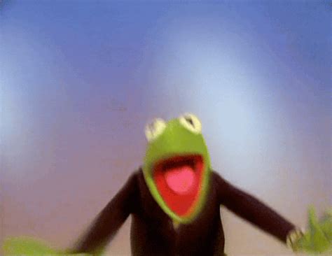Kermit The Frog Reaction 