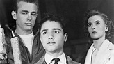 ‘Rebel Without a Cause’ star Sal Mineo was ‘on a good road’ before ...