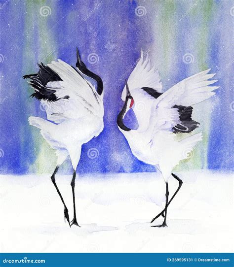 Watercolor Picture Of A Two Red Crowned Japanese Cranes Dancing Stock