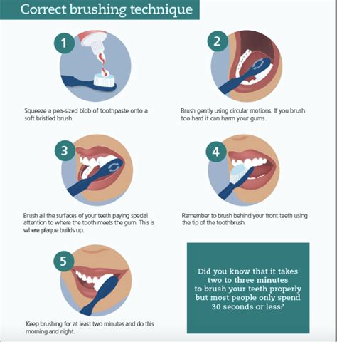 Dental Health Week Fun Fact Brushing Technique Signature Smiles Dental