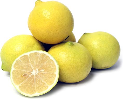 Farzana Buy Sweet Lemon Online At The Best Price