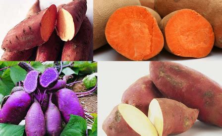 Apa saja resep camilan sehat yang bisa dibuat dari ubi jalar? Olahan Ubi Jalar Sederhana Mudah Enak Dan Sehat