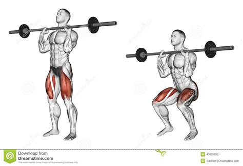 Exercising Squats On His Chest Gym Workout Tips Gym Workouts