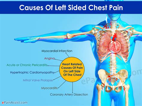 Sharp pain in the left lower abdomen or bladder region. What Does Left Sided Chest Pain Indicate?