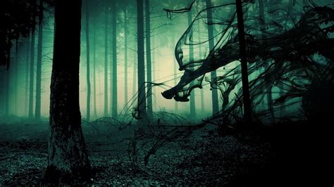 48 Scary Forest Wallpaper On Wallpapersafari