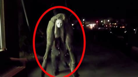 5 Horrifying Creatures Caught Real On Camera Youtube 9f6