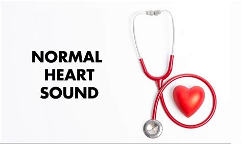 Normal Heart Sounds Medzcool Auscultation คือ Castu