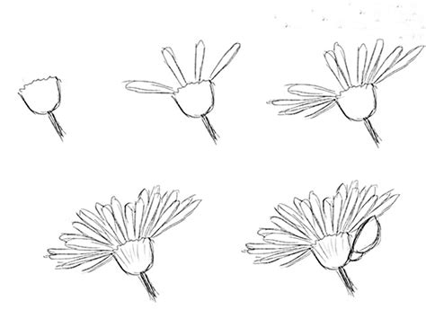 Maybe you would like to learn more about one of these? How to draw a simple flower step by step with pencil: 18 ...