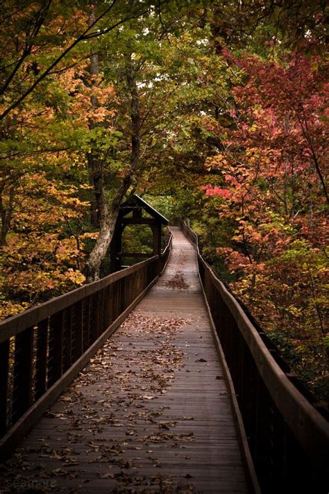 Boardwalk By Lauren Seymore Via 500px Fall Photography Nature