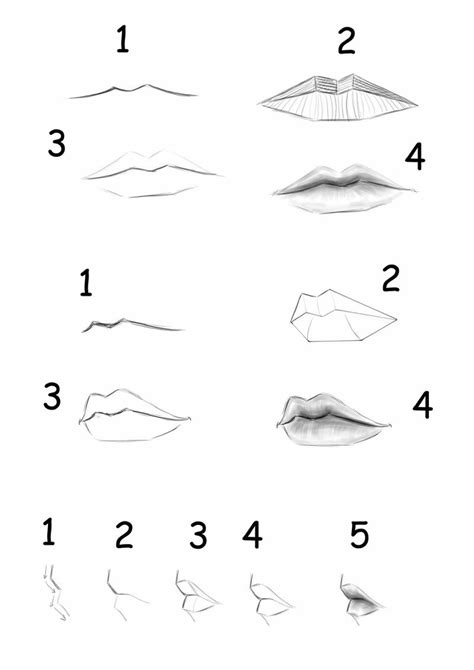 This way the shape of both the top and bottom lip is visible but not overly stretched or distorted. Lips Tutorial by MasterSS on DeviantArt