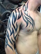 25 Best Tribal Tattoo Designs for Men - The Xerxes