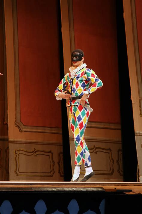 Traditional Harlequin Costume Jester Costume Circus Costume Male
