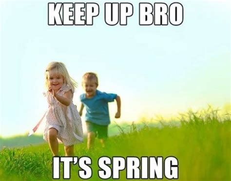 Spring Is Coming Memes Others