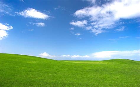 Windows Xp Wallpapers Bliss Wallpaper Cave