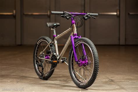 Coolest Looking Mountain Bike