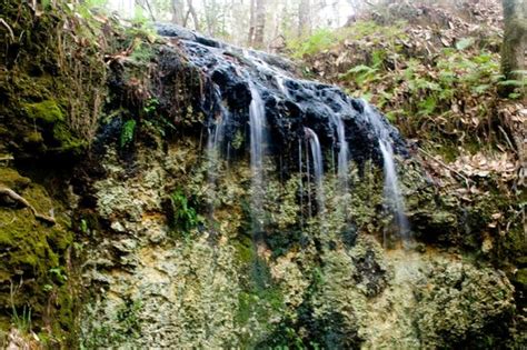 Florida Waterfall Picture Of Falling Waters State Park Chipley
