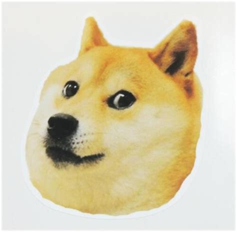 Doge Stickers Decals 10x10cm Meme Awesome Such Wow Shibe Shiba Dog