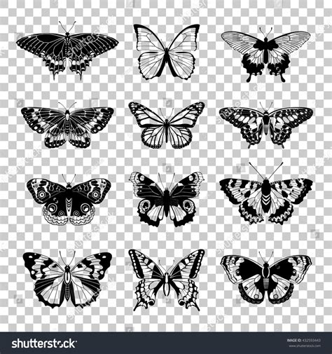 Set Butterflies Silhouettes Butterfly Icons Isolated Stock Vector