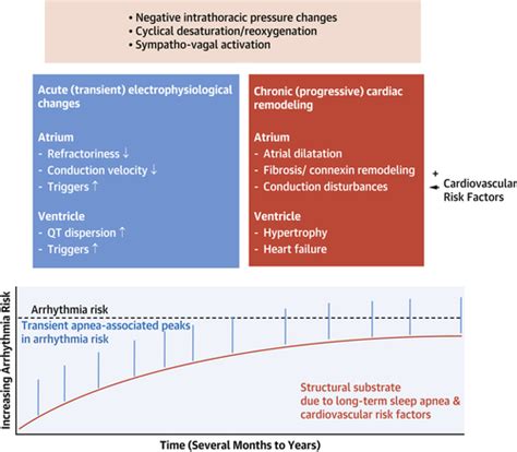 Sleep Disordered Breathing And Cardiovascular Disease Jacc State Of