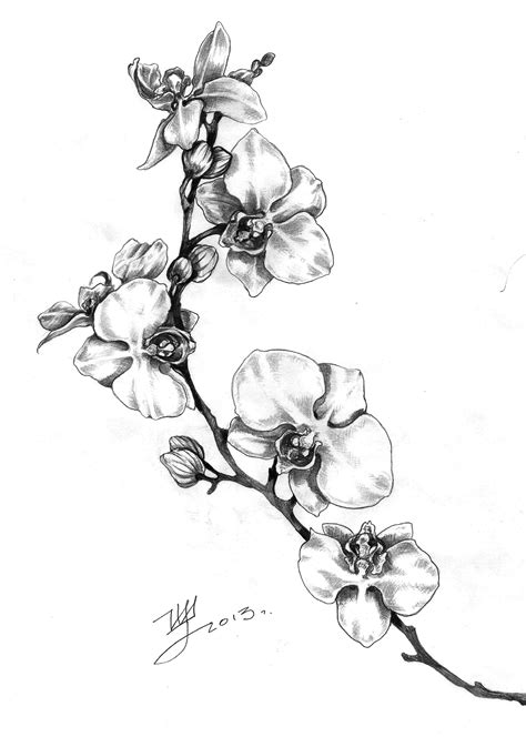 Арт для тату орхидея Orchid Flower Tattoos Flower Tattoos Orchid Tattoo