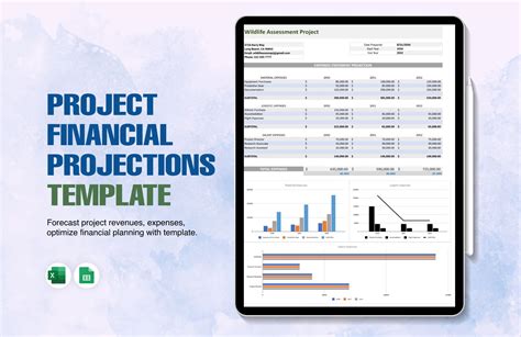 Project Financial Projections Template In Excel Google Sheets