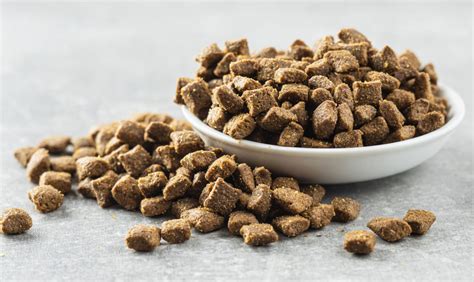11 Best Dry Cat Foods For Cats Who Like Being Pampered Dec 2020