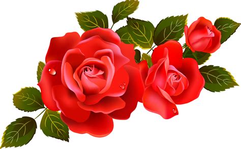 Roses Red Rose Clipart Clipart Kid Clipartix