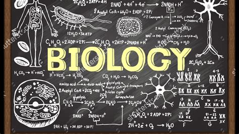 Ap Biology Course Overview Youtube