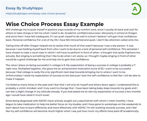 Wise Choice Process Essay Example