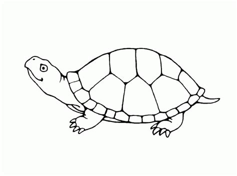 Dora and friends coloring pages download. Free Printable Turtle Coloring Pages - Coloring Home