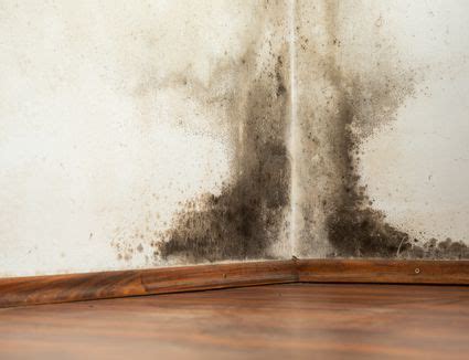 Cost effective, grout free wet area solution. Drywall
