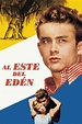 East of Eden (1955) - Posters — The Movie Database (TMDB)