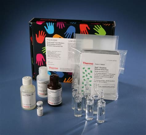 Pierce Far Western Blot Kit For Biotinylated Proteins Thermo Fisher