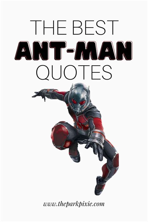 Best Ant Man Quotes To Share Across The Interwebz In 2024
