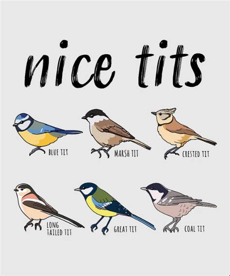 Nice Tits Raaaaaaacccccccce