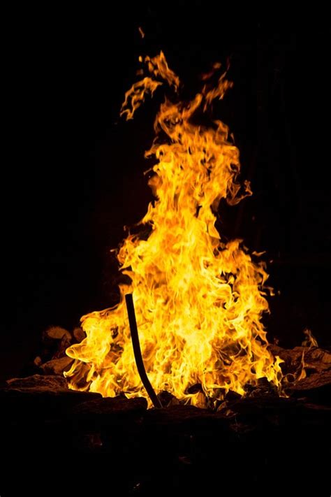 Fire Burning Woods · Free Photo On Pixabay