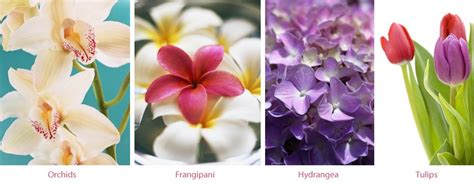 Maybe you would like to learn more about one of these? The Ultimate Wedding Flower Guide | inMotion Flowers