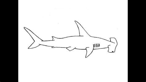 And we're kicking off this week with a super cool hammerhead. How to Draw a Hammerhead shark / Как нарисовать Акулу ...