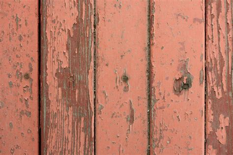 Free photo: Old painted wood - Bark, Cracked, Dry - Free Download - Jooinn