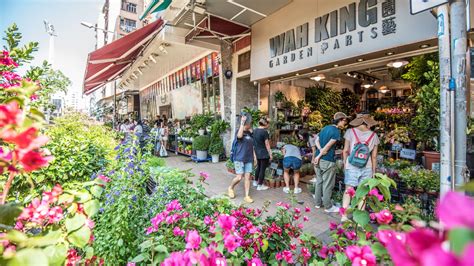 What To Buy At The Most Unique Shopping Streets In Hong Kong Hong