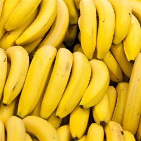 Organic Bananas 500g Affordable Organics