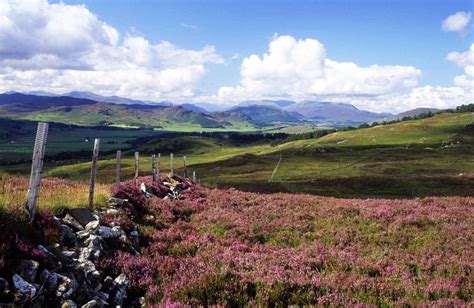 Special Landscape Qualities Moorlands Cairngorms National Park
