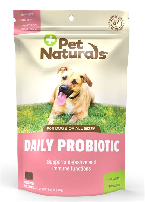 Best Probiotics For Dogs Keep Your Canine Companion Healthy