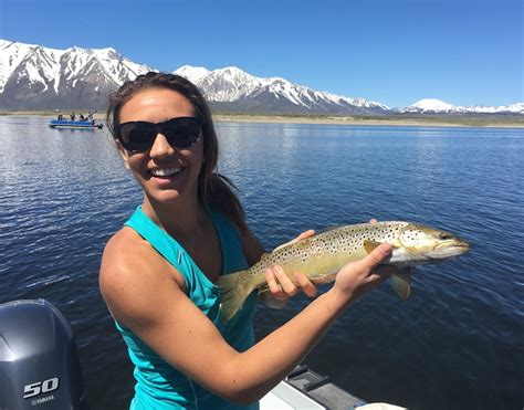 Crowley Lake Fish Report Crowley Lake Crowley Lake Fishing Report