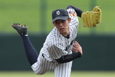 来自俄罗斯桦木蘑菇桦褐菌, 桦树茸, huàshùróng, 白桦茸, báihuàróng. 【写真】大船渡・佐々木朗希は昭和33年の稲尾和久並みの酷使 ...