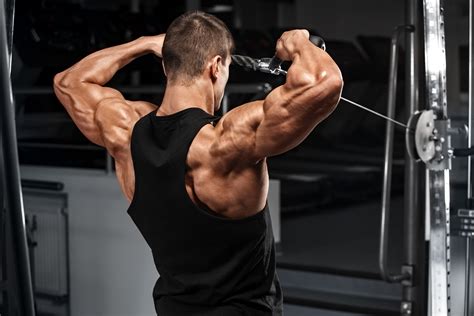 The 10 Best Rear Delt Exercises For Muscle And Strength Strengthlog