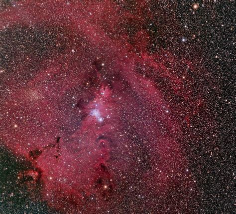 Cone Nebulachristmas Tree Cluster Ngc 2264 Astronomy Magazine