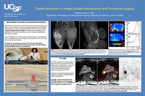 2019 Council Of Early Career Investigators In Imaging Technology Displayposter Guidelines The