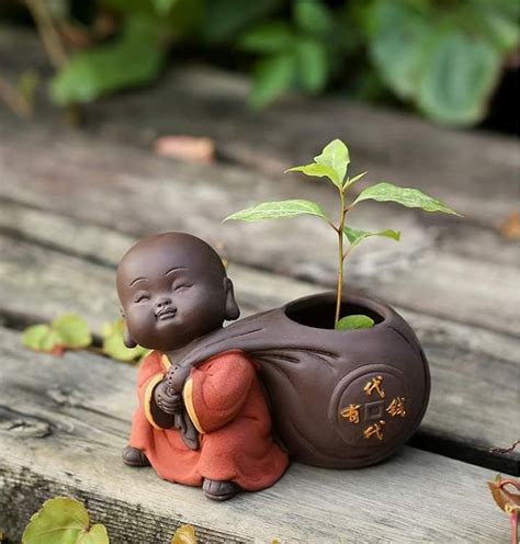 Pin By Giovanna Marconi Orellana On Hoa đẹp Tổng Hợp Baby Buddha