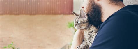 Pet insurance companies use waiting periods to prevent pet owners from enrolling in a plan because their pet is sick. Enrollment: Wait Period | Healthy Paws Pet Insurance